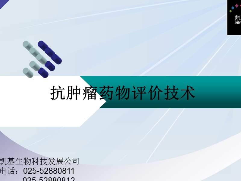 抗肿瘤药物评价技术.ppt_第1页