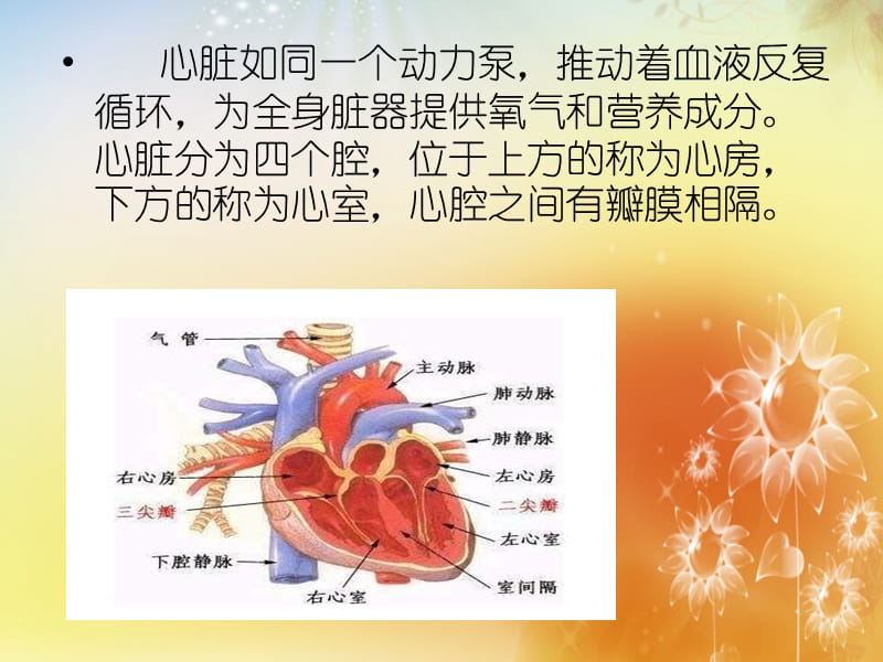 风湿性心脏病的护理查房专题课件.ppt_第3页