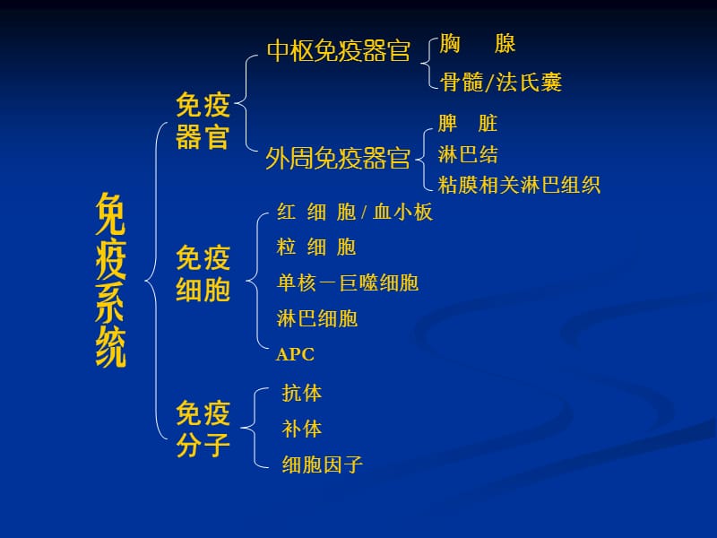 2019年《免疫系统课程》ppt课件.ppt_第3页