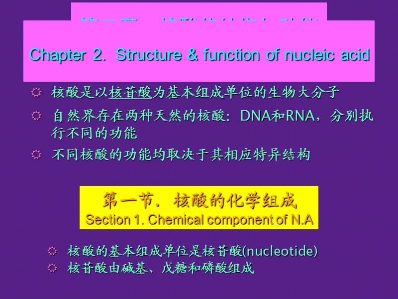 年制第章核酸.ppt_第1页