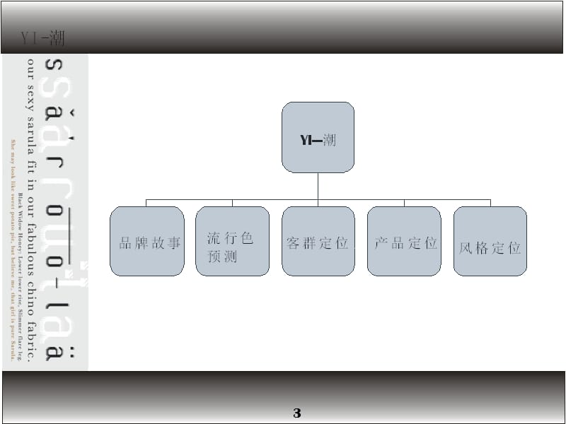 2011——2012女装品牌策划方案.ppt_第3页