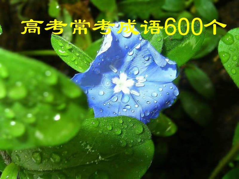 2010高考语文常考成语600个.ppt_第1页