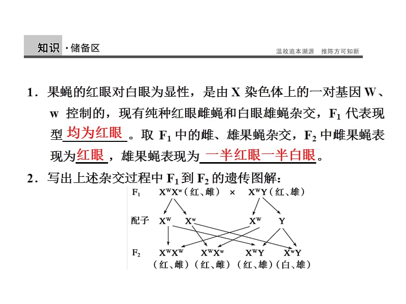 20192.203伴性遗传.ppt_第2页