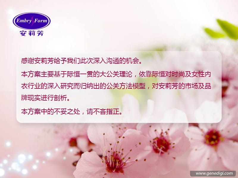 际恒-2009年安莉芳品牌推广方案.ppt_第2页