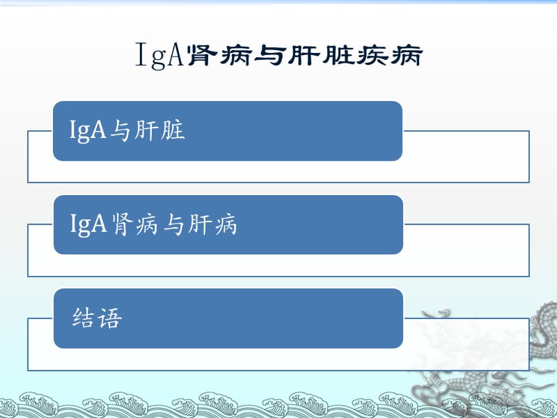 2019IGA肾病与肝脏疾病.ppt_第2页