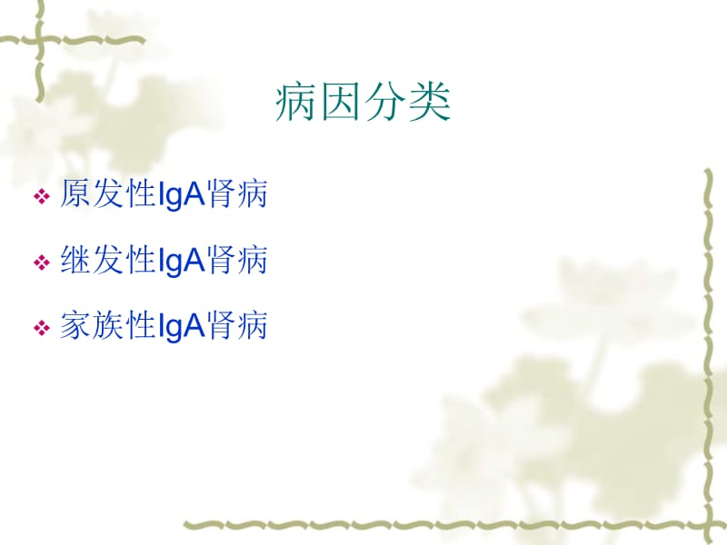 2019IgA肾病诊治现状.ppt_第3页