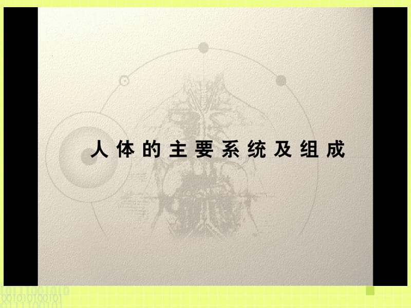 2019年《八大系统图示》ppt课件.ppt_第3页