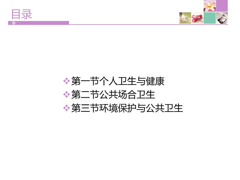 高职大学生健康教育第四章个人与公共卫生.ppt_第2页