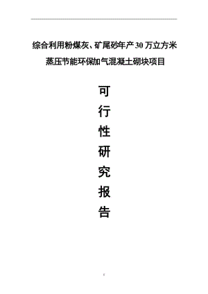 综合利用粉煤灰与矿尾砂年产30万立方米蒸压节能环保加气混凝土砌块项目可行性研究报告.doc