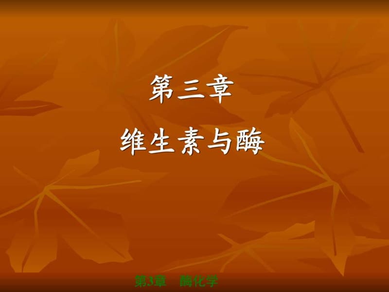 03维生素与酶 .ppt.ppt_第1页