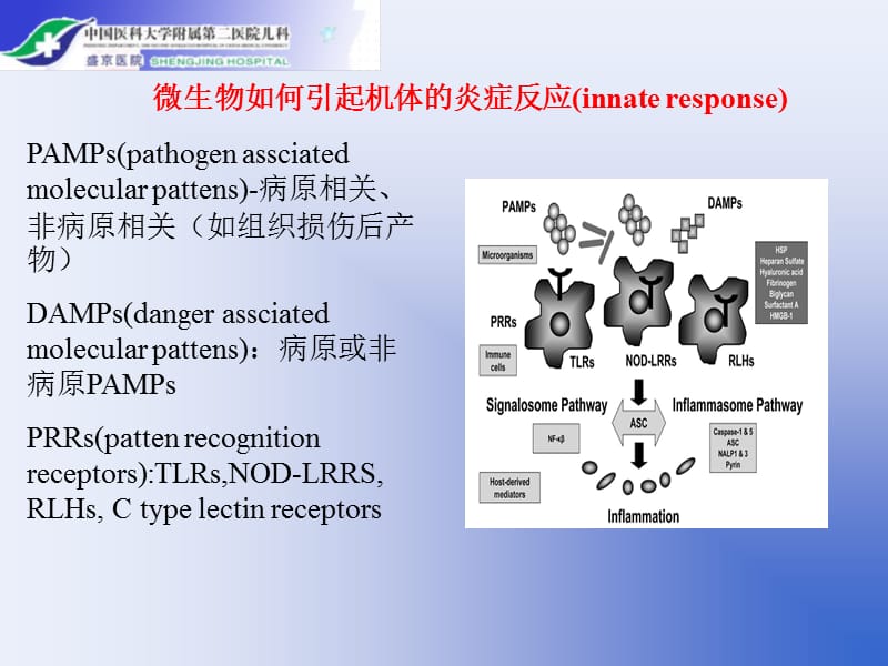 脓毒症休克的血流动力学及治疗策略-刘春峰ppt课件.ppt_第3页