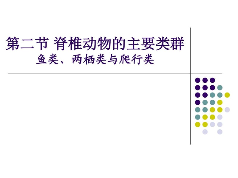 脊椎动物的主要类群.ppt_第1页