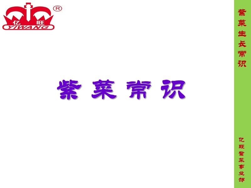 市场部紫菜生长常识.ppt_第1页