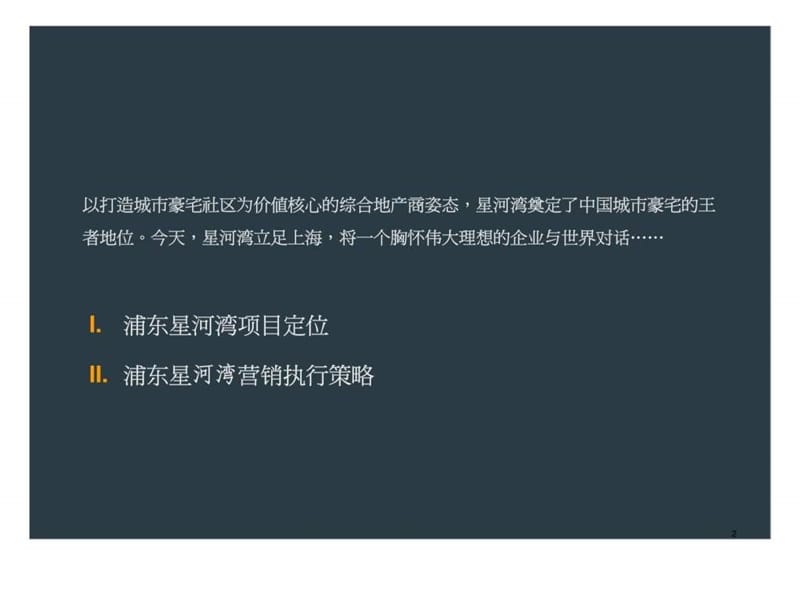 星河湾：营销策略及执行方案.ppt_第2页