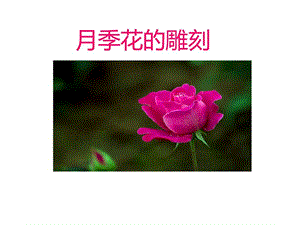 月季花雕刻_图文.ppt.ppt