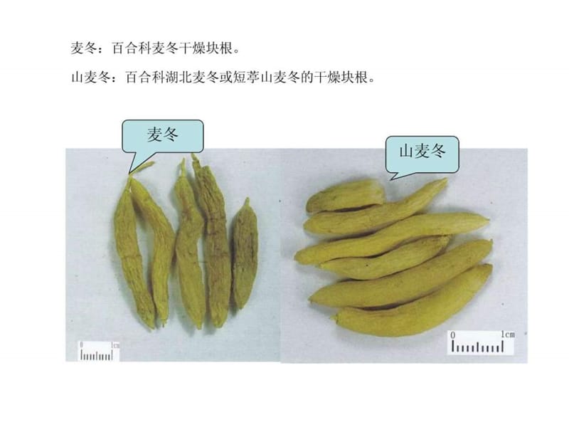 中药真伪鉴别_中医中药_医药卫生_专业资料.ppt.ppt_第2页