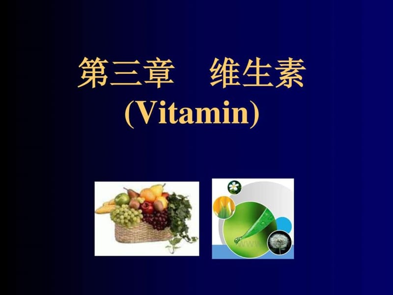 11 第三章 维生素 2013.11.25.ppt.ppt_第1页