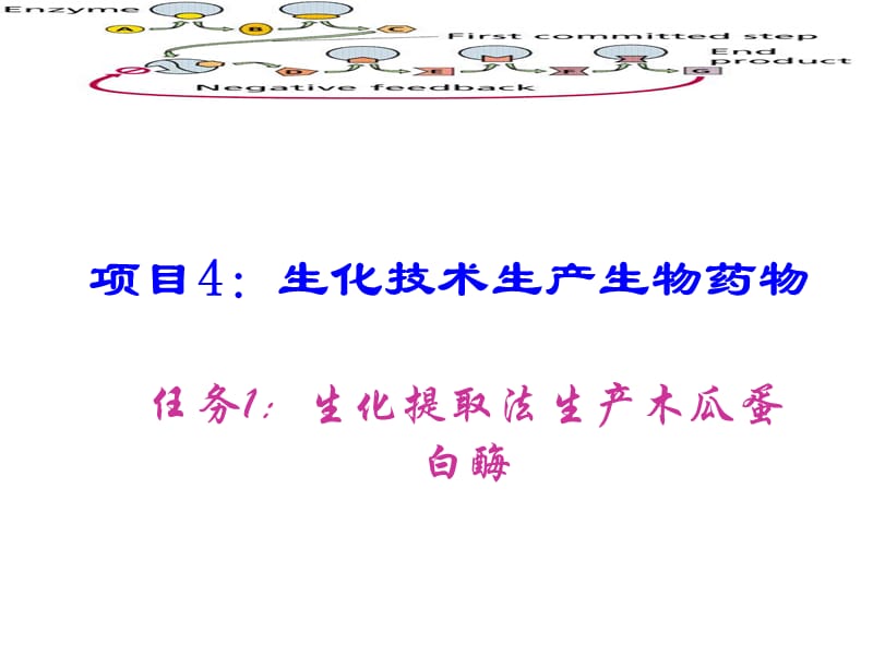 项目4生化技术生产生物药物.ppt_第1页