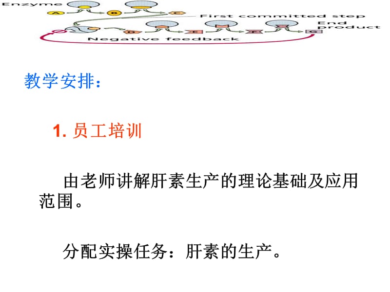 项目4生化技术生产生物药物.ppt_第2页