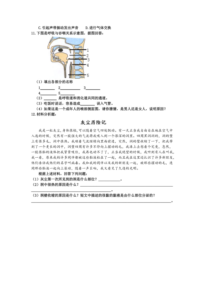 呼吸道对空气的处理导学案肖鹏.doc_第3页