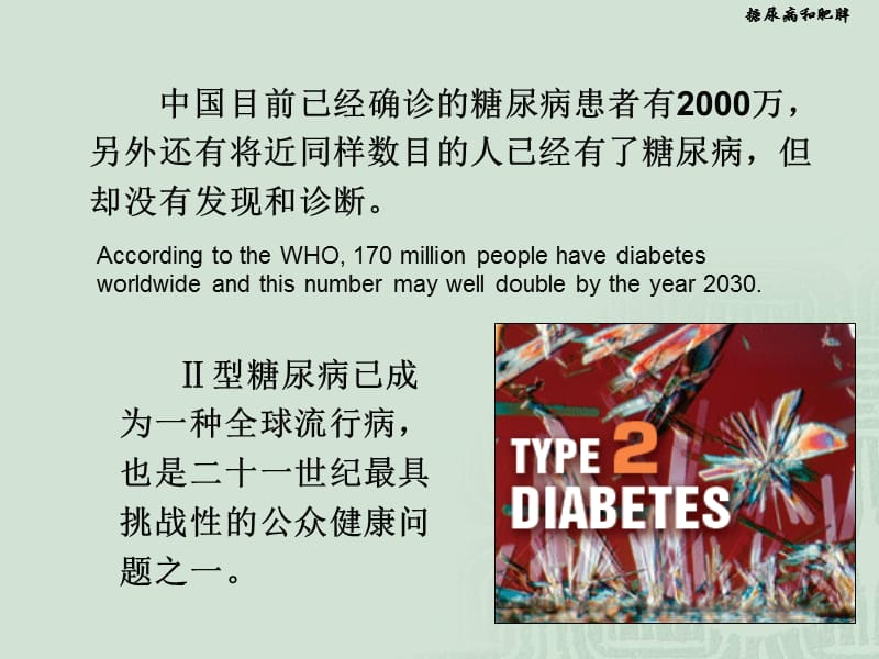 糖尿病的病理生理及其护理ppt课件.ppt_第3页