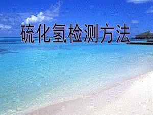 硫化氢检测方法.ppt