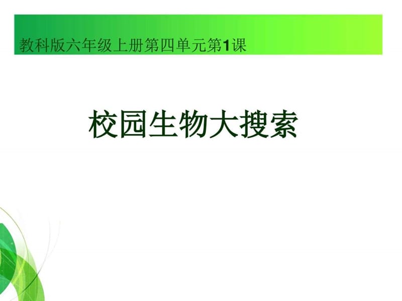 1、校园生物大搜索_图文.ppt.ppt_第1页