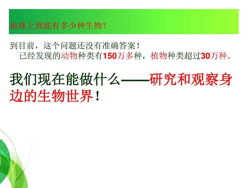 1、校园生物大搜索_图文.ppt.ppt_第2页