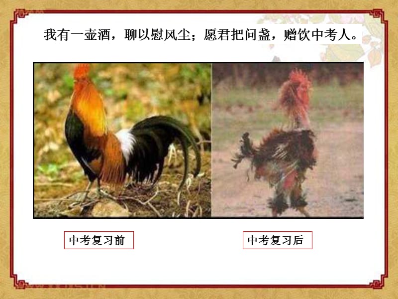 中考数学备考经验交流.ppt_第2页