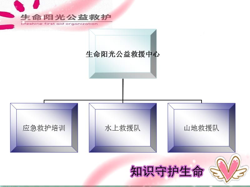 生命阳光公益救援中心简介.ppt_第3页