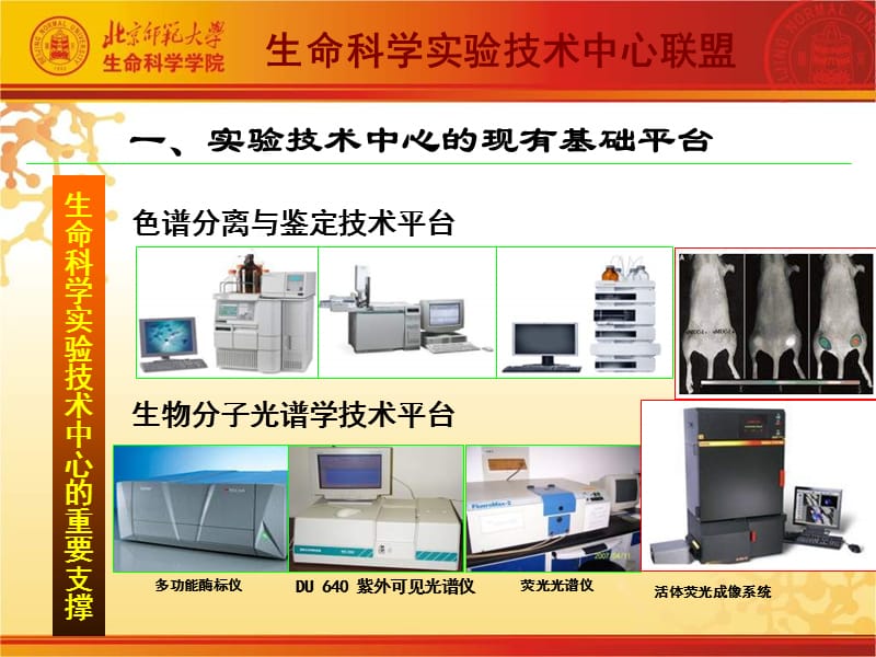 生命科学实验技术中心.ppt_第2页