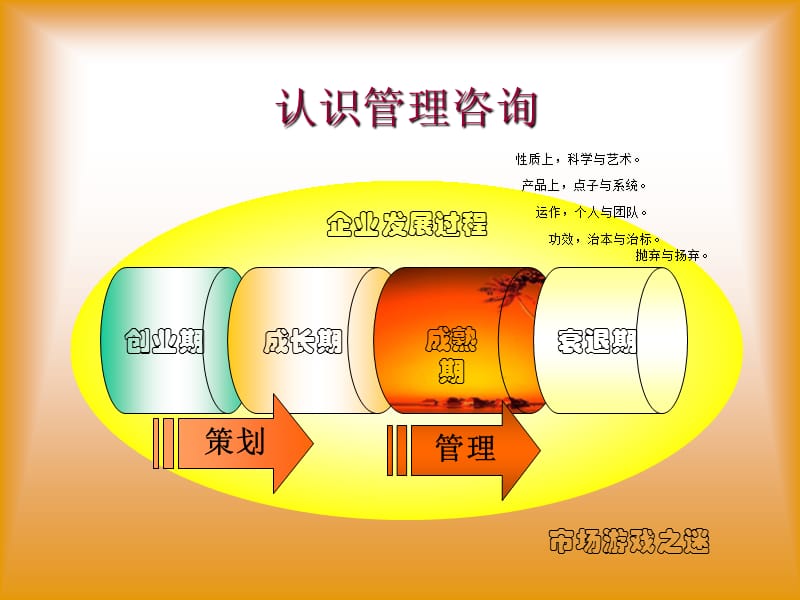 管理顾问操作实务.ppt_第3页