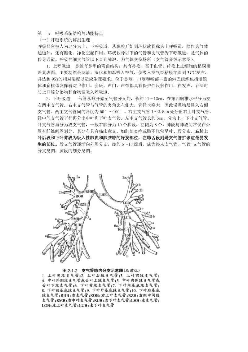 呼吸系统结构与功能特点.doc_第1页