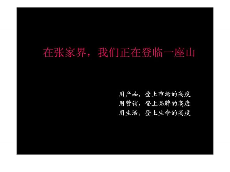 2010年张家界·溪布街项目整合推广策略初案.ppt_第2页