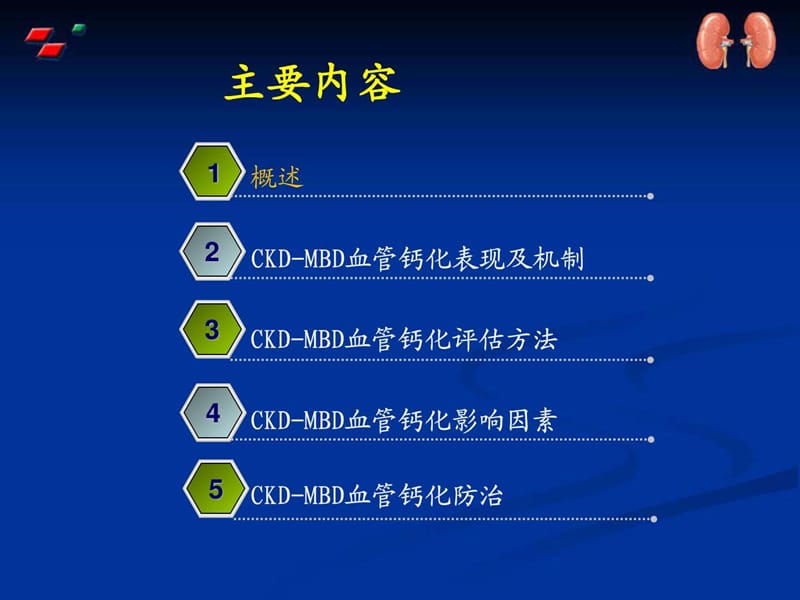 CKD骨矿物质-血管综合征的防治.ppt_第2页