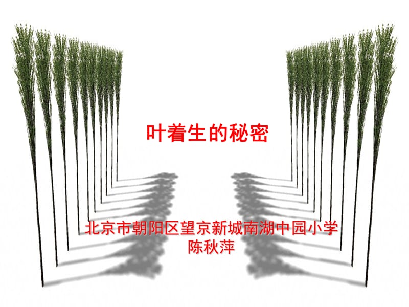 叶着生的秘密课件.ppt_第1页