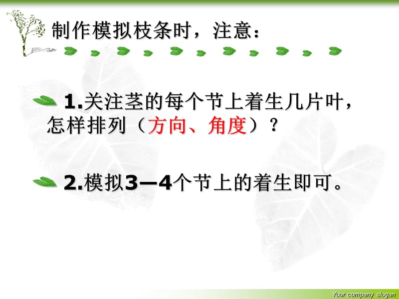 叶着生的秘密课件.ppt_第2页