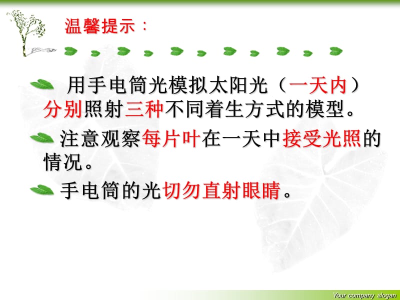 叶着生的秘密课件.ppt_第3页