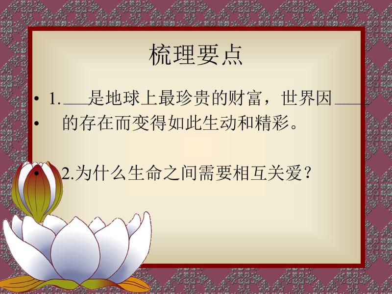 七年级世界因生命而精彩.ppt_第3页