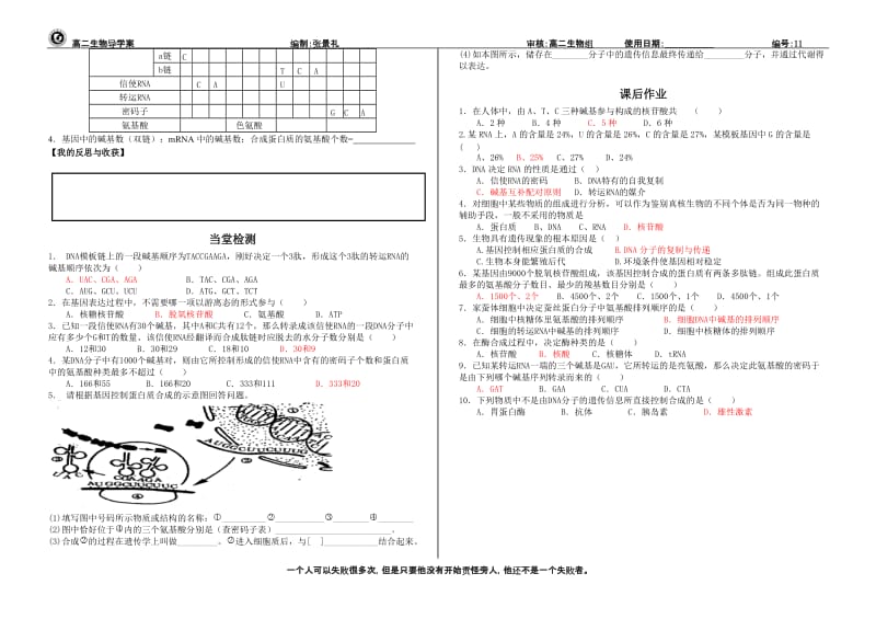 4.1《基因指导蛋白质的合成》试卷试题1张景礼.doc_第2页