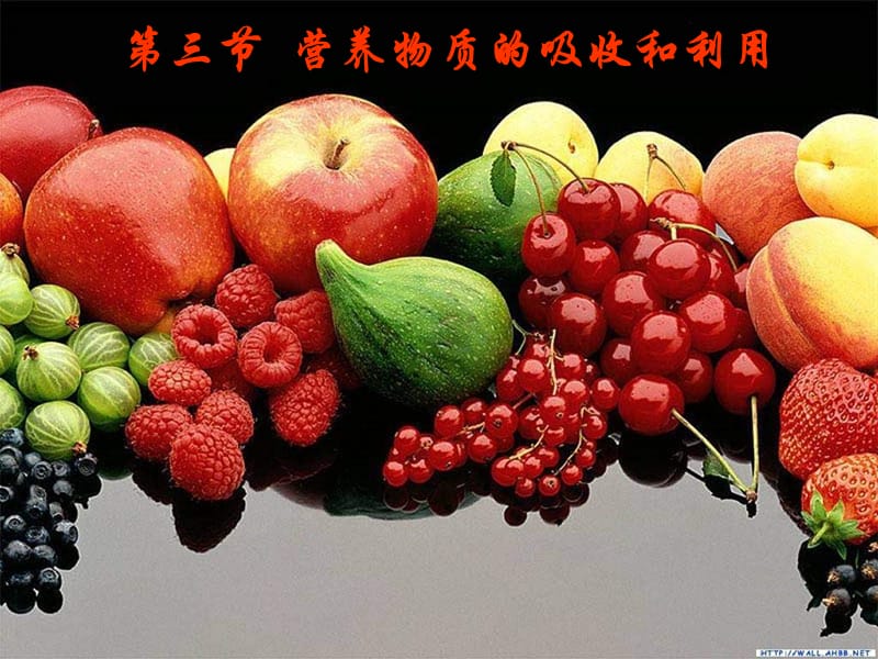 七年级生物食物的消化.ppt_第1页