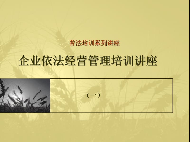 企业依法经营管理培训讲座.ppt_第1页