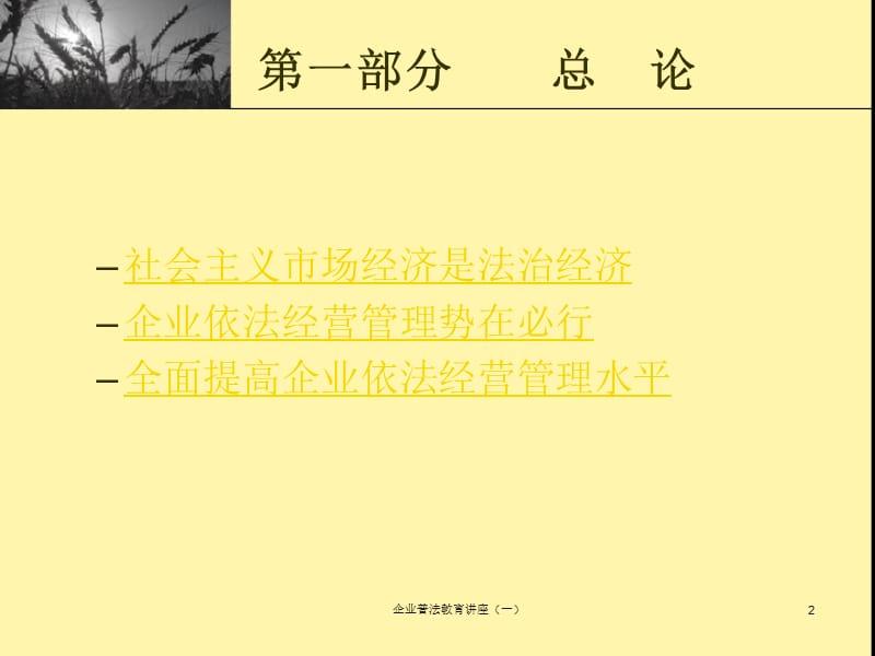 企业依法经营管理培训讲座.ppt_第2页