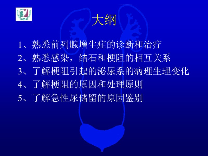 《泌尿系梗阻》ppt课件.ppt_第2页