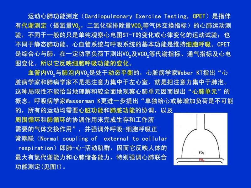 运动心肺功呢能测定.ppt_第2页