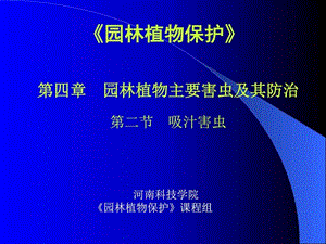 王运兵讲义-刺吸式害虫_图文.ppt.ppt