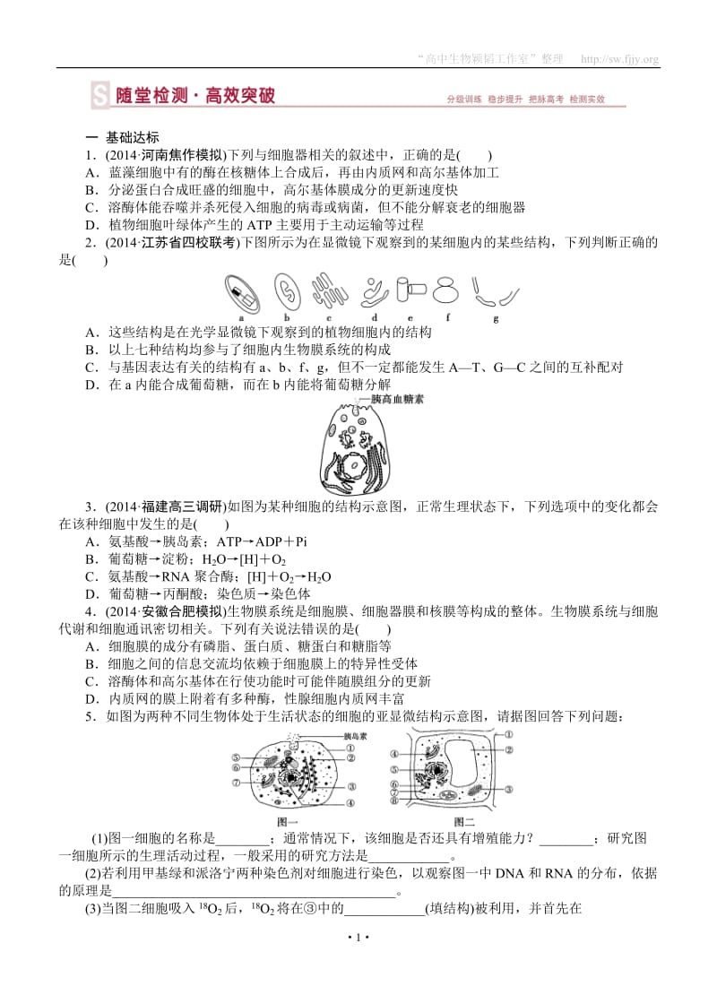 2015届《优化方案》高考生物（苏教版）一轮随堂检测：第06讲细胞的类型和结构（二）——细胞质和细胞器、生物膜系统.doc_第1页