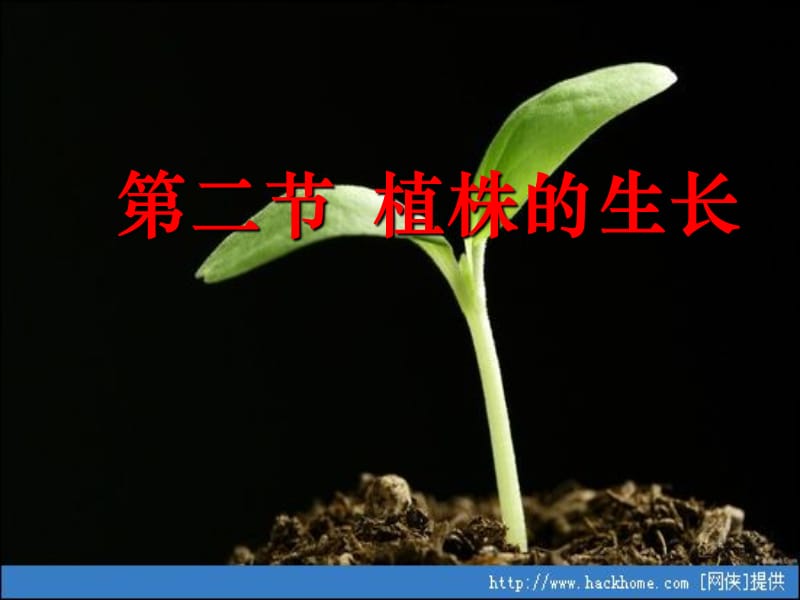 七年级生物上册-植株的生长ppt课件.ppt_第1页