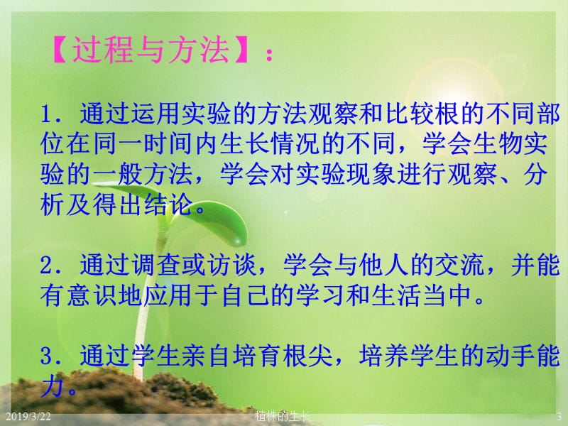 七年级生物上册-植株的生长ppt课件.ppt_第3页