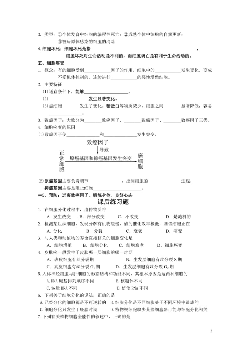 6.2《细胞的分化、衰老、调亡和癌变》学案1.doc_第2页